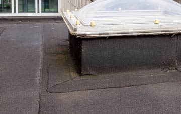 disadvantages of Dam Side flat roofs