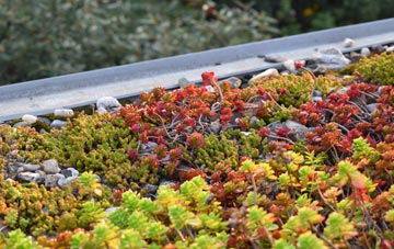 the cost of Dam Side green roof installation