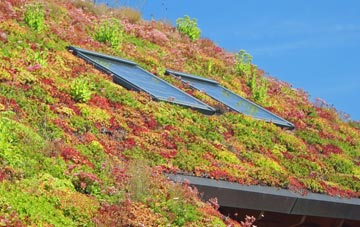 Dam Side living roof systems