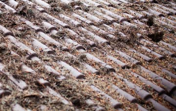 Dam Side roof cleaning companies