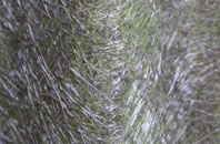 Dam Side fibreglass roof work